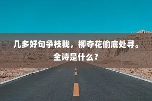 临行惠我不语意，定驾星軿为暮雨。的释义