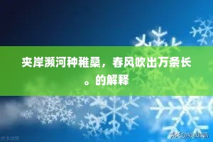 推聋作哑成语的拼音
