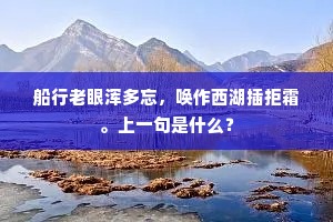 老稚妍媸贱或贵，来者携壶归者醉。下一句是什么？