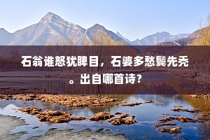 推心致腹成语的解释