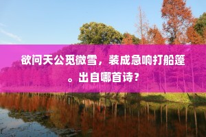 淡岩明秀甲天下，万古石鼓留岐阳。的解释