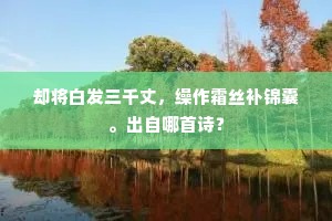 湘娥罢瑟老鱼舞，瘦鹤叫下芦花汀。出自哪首诗？