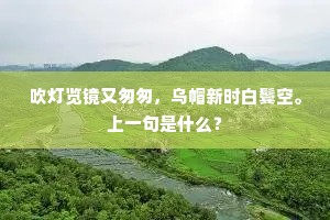 潘侯石屏真绝奇，更多酒肉如渑池。下一句是什么？