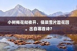 亡羊补牢成语的释义