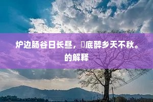文不加点成语的释义