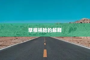 俗间离合谁得免，心虽欲近身逾远。全诗是什么？