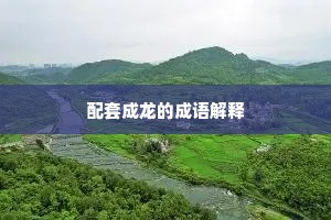 文理不通成语的拼音
