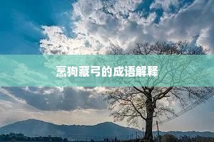 可怜日月如过翼，我诚儒生犹恨惜。的意思及出处