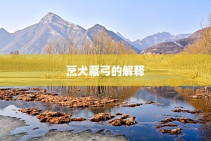 文人无行成语的拼音