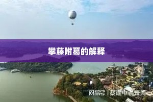 閒来看梅取一笑，对雪更作明年调。的意思及出处