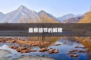 文章钜公成语的释义