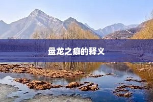 朝廷礼乐推先进，莫叹郎潜佩肘金。的释义