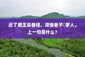 文质斌斌成语的拼音