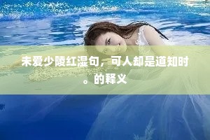 游骑夜入烧回中，烽火朝传过陇上。的解释