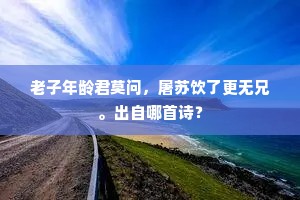 空城风雨晦如秋，漠漠长江天际流。全诗是什么？