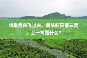 问长问短成语的拼音