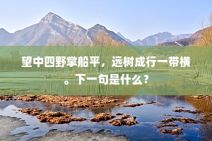 无所容心成语的拼音