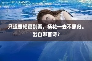 无头无尾成语的释义