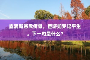 析珪判野成语的拼音