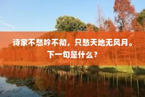 析律贰端成语的释义