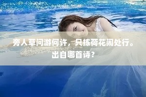 析言破律成语的解释