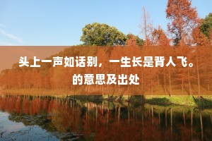 析疑匡谬成语的拼音