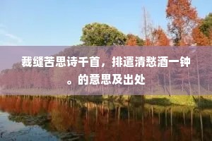 自无金骨凌风相，心愧仙翁度世方。的意思及出处