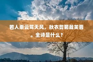 纷纭六幕含苍苍，莹如冰壶察毫芒。全诗是什么？