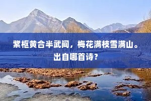 膝行蒲伏成语的拼音