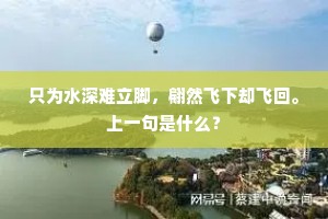 膝行肘步成语的拼音