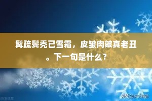 洗垢匿瑕成语的解释