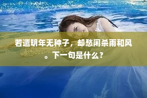 叠石疏篁浅药苗，淡云清雨意寥寥。下一句是什么？