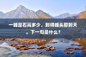 似欺兰畹方披羽，聊对风卮旋屑金。全诗是什么？
