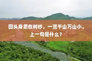 不应天意分南北，自是无人敢请缨。全诗是什么？