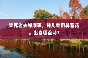 系风捕影成语的拼音