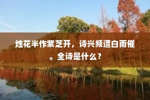 末俗纷纷事不情，天涯怀抱向谁倾。上一句是什么？