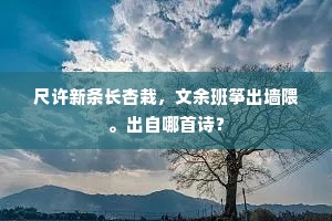 浮荣过眼旋销忘，惟有溪山意味长。出自哪首诗？