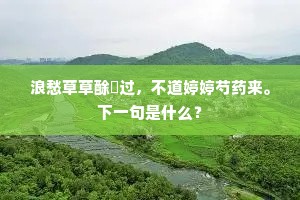 郤诜高第成语的拼音