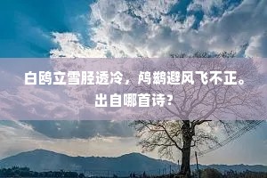 危栏缥缈跨鸿濛，城郭溪山一览空。下一句是什么？