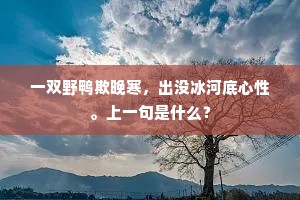 一轩新筑敞柴荆，北苑尘飞客思清。的解释