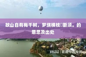 霞姿月韵成语的拼音