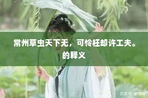败絮如蓑不可连，书灯相对耸吟肩。的释义