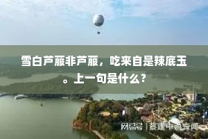 姮娥怕闹，银蟾传令，且与遮鸾翳凤。的意思及出处