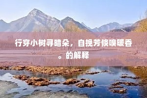 欲伴衲僧林下住，会须石似此心顽。出自哪首诗？