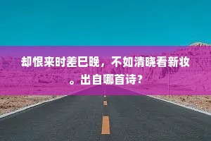小雨敛尘芒屩轻，玉峰一点笠边明。的解释