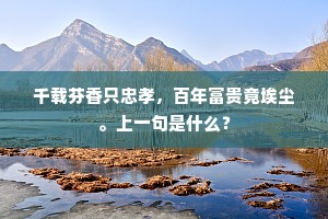 心空无地著尘沙，对镜何曾一念差。出自哪首诗？