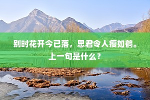 白鹤老仙三叠曲，何人得法是横枝。的释义