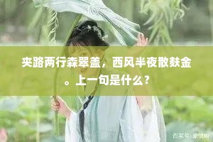 笑里藏刀成语的拼音