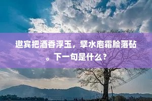 今日谋欢真雅胜，休辞痛饮葡萄浪。的解释
