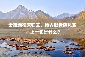 闻道野梅开欲遍，好山春色过山家。全诗是什么？